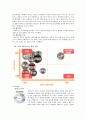 CJ제일제당기업 분석보고서 (현 위치분석, BCG매트릭스, 산업구조분석(five forces model), SWOT분석, 가치사슬분석, 전략캠퍼스) 13페이지
