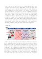뉴발란스 브랜드분석과 발전과정분석 및 뉴발란스 마케팅 SWOT,4P,STP분석과 뉴발란스 새로운 마케팅전략 제언 레포트 5페이지
