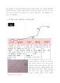 뉴발란스 브랜드분석과 발전과정분석 및 뉴발란스 마케팅 SWOT,4P,STP분석과 뉴발란스 새로운 마케팅전략 제언 레포트 6페이지