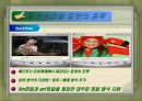 영상색채이론 28페이지