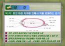 영상색채이론 35페이지