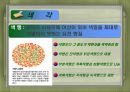 영상색채이론 36페이지
