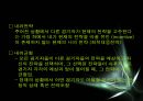 게임이론과 응용 31페이지