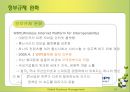 다국적기업에서 초국적기업으로  19페이지