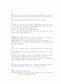 중국경찰제도  12페이지