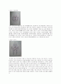 『헌종무신진찬의궤(憲宗戊申進饌儀軌)』의 도식(圖式 : 그림)을 통해 살펴본 정재 레포트 8페이지
