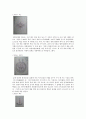 『헌종무신진찬의궤(憲宗戊申進饌儀軌)』의 도식(圖式 : 그림)을 통해 살펴본 정재 레포트 9페이지