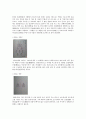 『헌종무신진찬의궤(憲宗戊申進饌儀軌)』의 도식(圖式 : 그림)을 통해 살펴본 정재 레포트 11페이지
