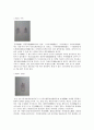 『헌종무신진찬의궤(憲宗戊申進饌儀軌)』의 도식(圖式 : 그림)을 통해 살펴본 정재 레포트 12페이지