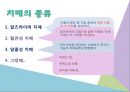 치매노인에 관한 정의 및 실제 치매어르신의 현장을 취재한 내용입니다. 8페이지