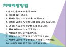 치매노인에 관한 정의 및 실제 치매어르신의 현장을 취재한 내용입니다. 13페이지