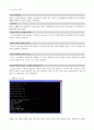 c프로그래밍 실습 - printf() 의 다양한 출력형식 2페이지