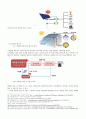 [신재생에너지] 태양 에너지 - 무한하고 무공해인 태양 에너지 발전 4페이지