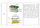[공학] 전자 디스플레이(RECENT ADVANCES IN  DISPLAY TECHNOLOGIES) 장치의 모든것 40페이지