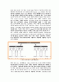 컴퓨터 정보 통신 - Wireless LAN에 관해서 10페이지