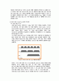 컴퓨터 정보 통신 - Wireless LAN에 관해서 11페이지