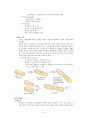 미생물의 세계 - 미생물의 종류와 종류별 특성 10페이지