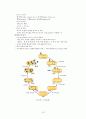 미생물의 세계 - 미생물의 종류와 종류별 특성 13페이지