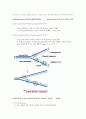 [생물학] DNA중합효소 (DNA polymerase)에 대해의 종류와 생체기능 4페이지
