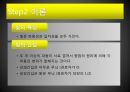 물리실험 - 영의 간섭 실험 4페이지