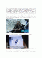 SNS 마케팅 성공 사례 - KLM네덜란드 항공 8페이지