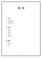 패션 관광 [Fashion Tour] 보고서 (패션 관광의 개념, 선정이유와 목적, 상품 소개, 시장 분석, 홍보 전략, SWOT 분석) 2페이지