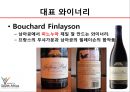 대표 와이너리, 프리미엄급 와인, 유명산지 소개.pptx 4페이지