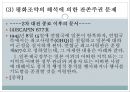 한일관계상의 독도영유권 수호정책 독도영유권과 연합국의 독도문제 처리  30페이지