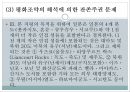 한일관계상의 독도영유권 수호정책 독도영유권과 연합국의 독도문제 처리  31페이지