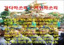 [국제 관광과 문화] 일본 도쿄 마츠리(토쿄 마쓰리) 축제.pptx 20페이지