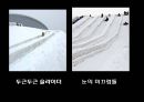 [국제 관광과 문화] 일본 도쿄 마츠리(토쿄 마쓰리) 축제.pptx 34페이지