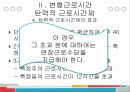 변형근로시간제도의 문제점과 개선방향 (탄력적 근로시간제, 선택적 근로시간제).pptx 20페이지
