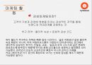 싸이월드인터넷마케팅: 싸이월드의 인터넷 마케팅 전략 29페이지