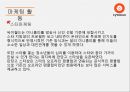 싸이월드인터넷마케팅: 싸이월드의 인터넷 마케팅 전략 32페이지
