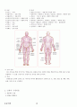 05.운동역학 {운동학적 분석, 운동역학적 분석, 운동역학 적용 및 실제} [임용 전공체육 체육교육과 전공 서적 요약본 레포트, 임용 필수 노트]  12페이지