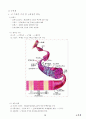 04.운동생리학 {에너지 대사 및 근수축, 순환계•호흡계•내분비계, 훈련 생리학, 운동처방의 이해 및 적용} [임용 전공체육 체육교육과 전공 서적 요약본 레포트, 임용 필수 노트] 15페이지