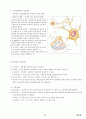 04.운동생리학 {에너지 대사 및 근수축, 순환계•호흡계•내분비계, 훈련 생리학, 운동처방의 이해 및 적용} [임용 전공체육 체육교육과 전공 서적 요약본 레포트, 임용 필수 노트] 31페이지