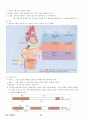 04.운동생리학 {에너지 대사 및 근수축, 순환계•호흡계•내분비계, 훈련 생리학, 운동처방의 이해 및 적용} [임용 전공체육 체육교육과 전공 서적 요약본 레포트, 임용 필수 노트] 36페이지