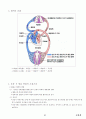 04.운동생리학 {에너지 대사 및 근수축, 순환계•호흡계•내분비계, 훈련 생리학, 운동처방의 이해 및 적용} [임용 전공체육 체육교육과 전공 서적 요약본 레포트, 임용 필수 노트] 41페이지