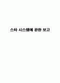스타 시스템에 관한 보고  1페이지