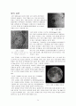 천체 물리학 서론 정리 - Part 01 (천체 역학과 태양계, 태양계의 개관, 지구의 운동, 지구와 달) 34페이지