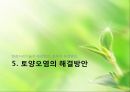 토양오염의 폐해와 그 해결 - Phytoremediation (식물복원)과 정책적 해결책을 중심으로.pptx 9페이지