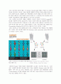 [의생명과학] 차세대 염기서열 분석 - NGS(Next Generation Sequencing)에 대하여 2페이지