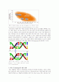 [의생명과학] 차세대 염기서열 분석 - NGS(Next Generation Sequencing)에 대하여 3페이지