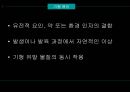의학 - 기형이 생기는 이유 4페이지