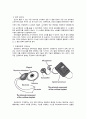 [청각학 개론] 인공와우(Cochlear Implant) 6페이지