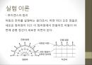 [기초 물리학 실험] 분광기를 이용한 스펙트럼 측정.pptx 9페이지