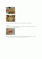 도자기의 제작과정 (상세 공정 설명) 5페이지
