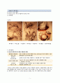 [여성 분만실] 제왕절개분만 c-sec (cesarean section) 케이스 스터디(CaseStudy) 5페이지