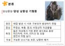 여성실습 난소낭종 케이스 14페이지